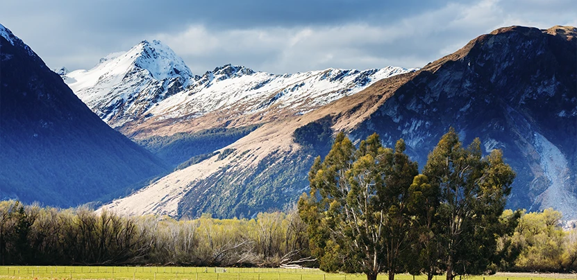 Destino Nueva Zelanda. Teduca estudios en el exterior.