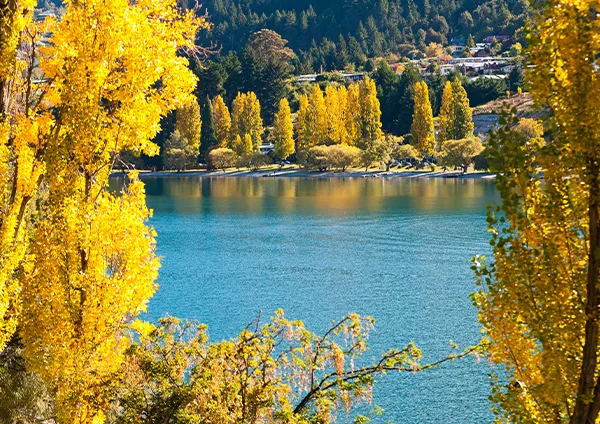 Destino Queenstown, Nueva Zelanda. Teduca estudios en el exterior.