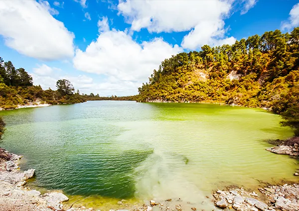 Destino Rotorua, Nueva Zelanda. Teduca estudios en el exterior.