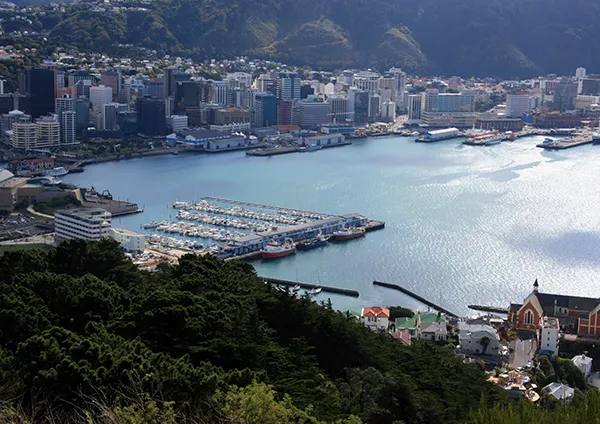 Destino Wellington, Nueva Zelanda. Teduca estudios en el exterior.